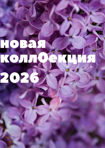 новая коллекция Сирень